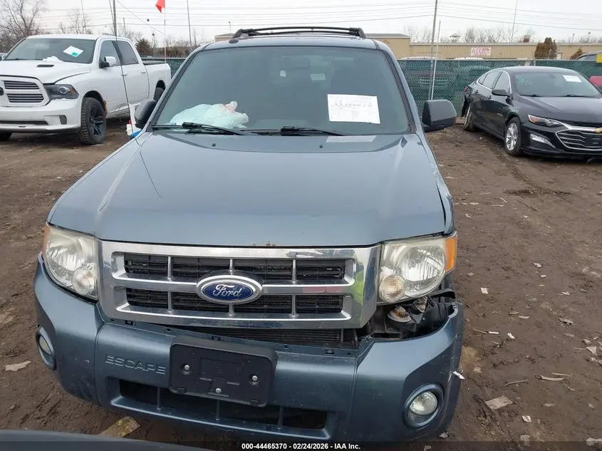 2011 FORD ESCAPE XLT