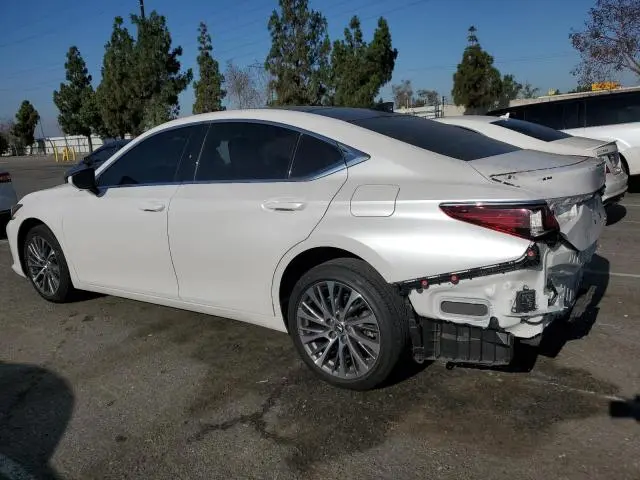2019 LEXUS ES 350  