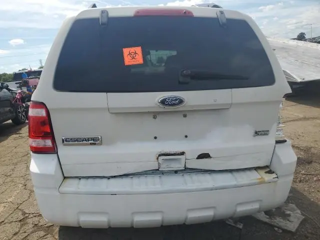 2010 FORD ESCAPE XLT  