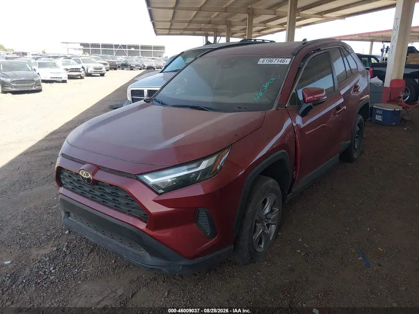 2024 TOYOTA RAV4 XLE