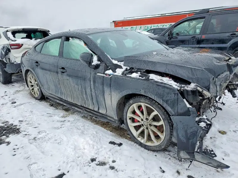 2019 AUDI S5 PRESTIGE  