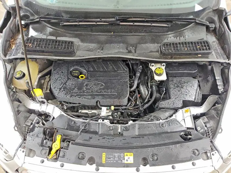 2019 FORD ESCAPE SEL  