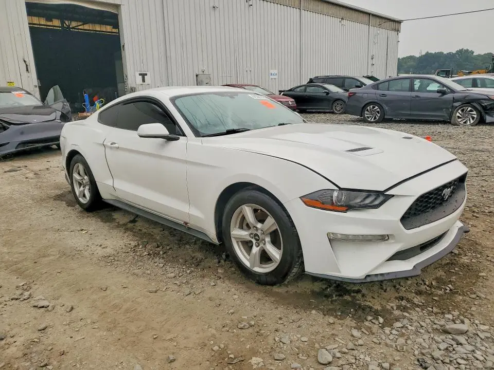 2019 FORD MUSTANG   