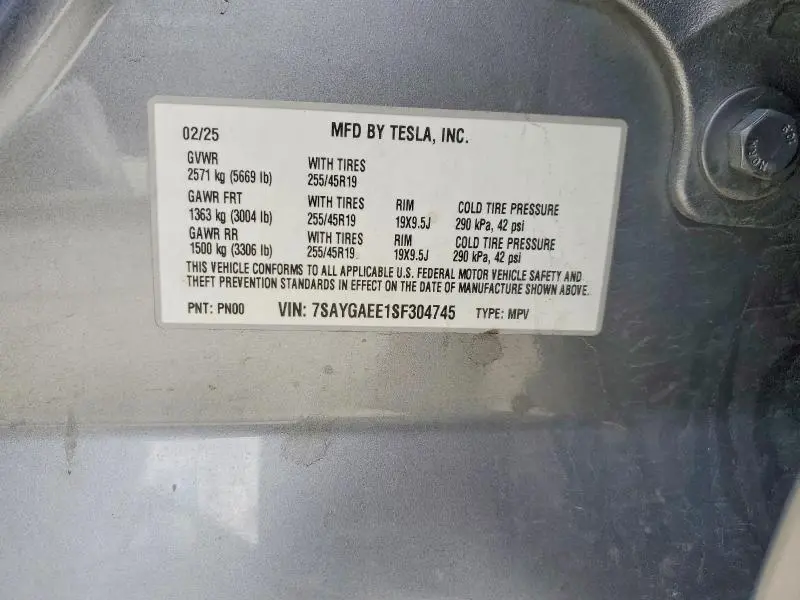 2025 TESLA MODEL Y   