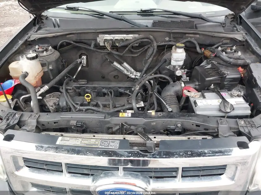 2011 FORD ESCAPE XLT