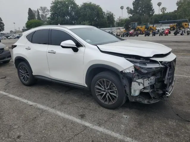 2024 LEXUS NX 350 BASE  
