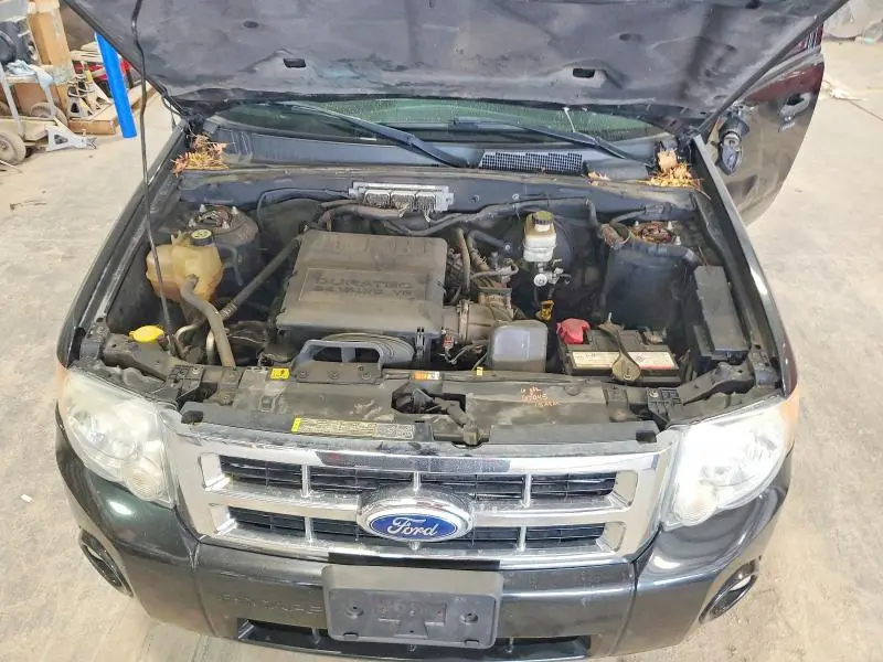 2011 FORD ESCAPE XLT  