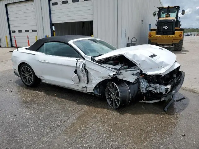 2019 FORD MUSTANG   