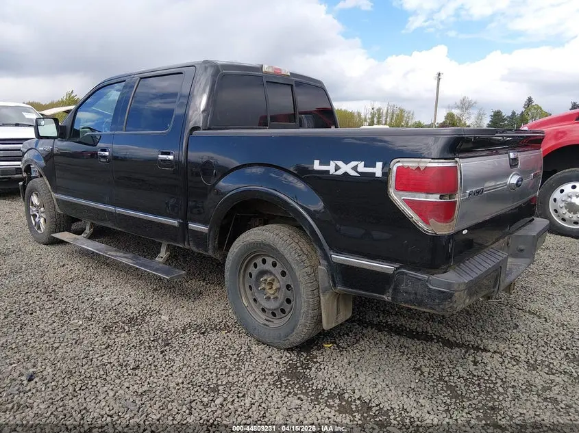 2013 FORD F-150 PLATINUM