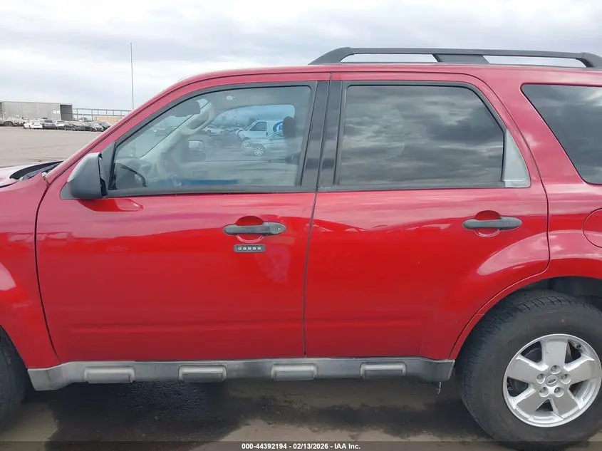 2010 FORD ESCAPE XLT