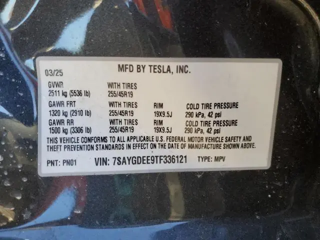 2026 TESLA MODEL Y   