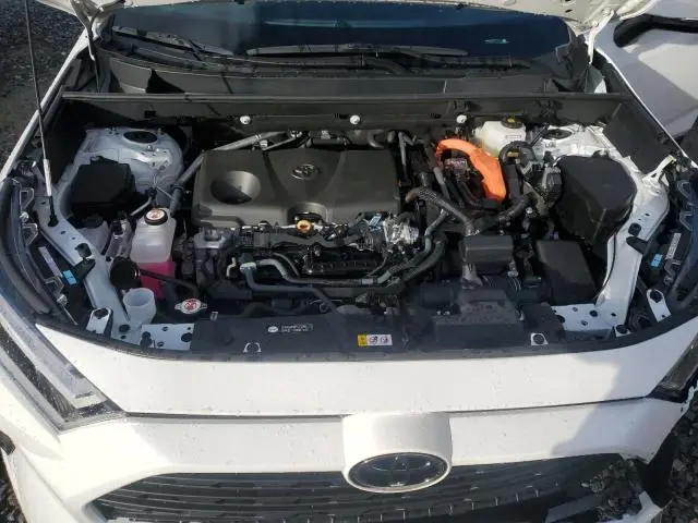 2025 TOYOTA RAV4 XLE  