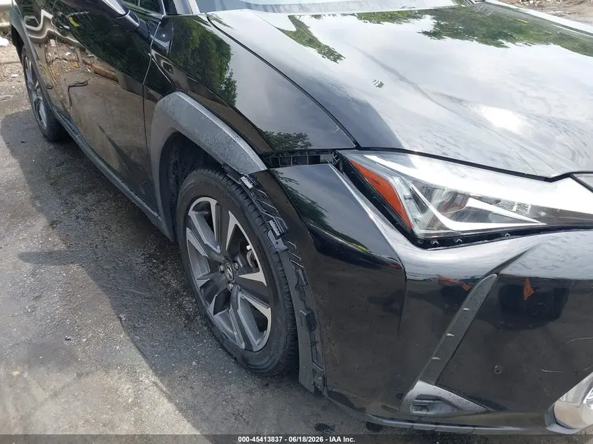 2019 LEXUS UX 200  