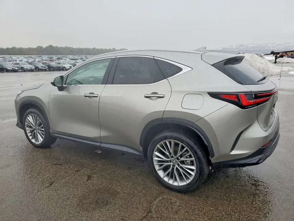 2025 LEXUS NX 350 PREMIUM  