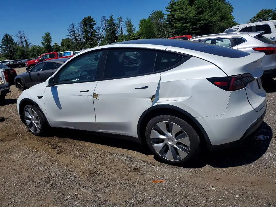 2021 TESLA MODEL Y   