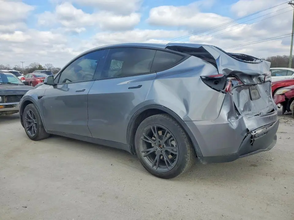 2025 TESLA MODEL Y   