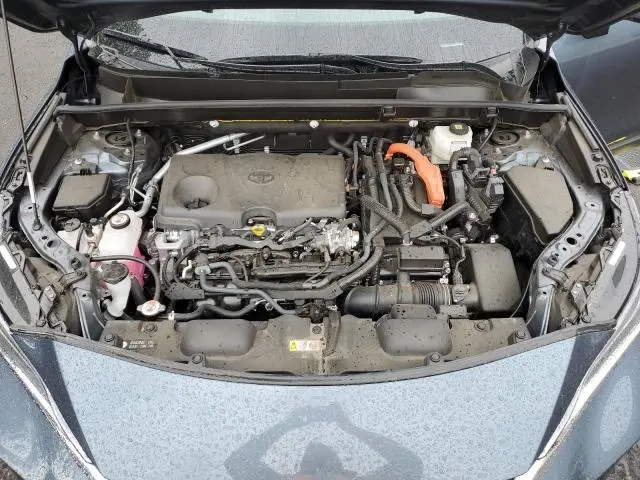 2024 TOYOTA VENZA LE