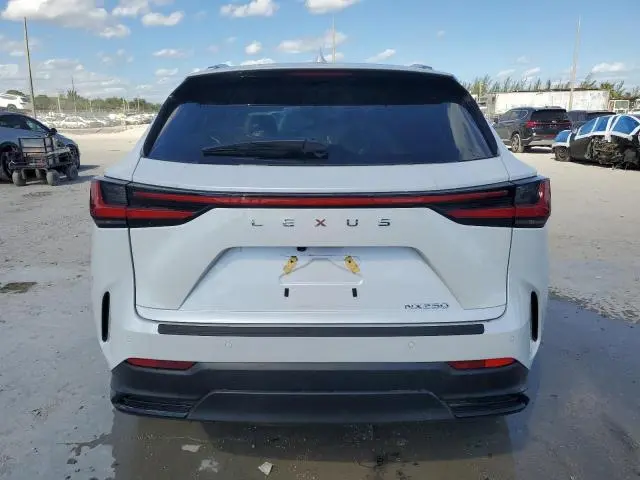 2025 LEXUS NX 250 PREMIUM  