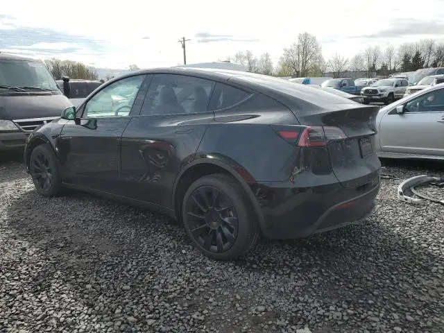 2025 TESLA MODEL Y   