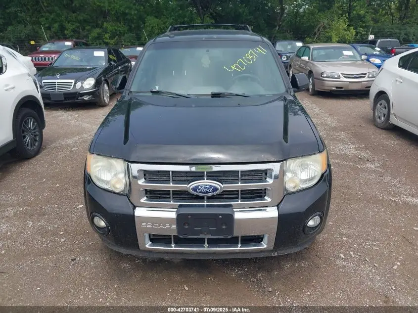 2010 FORD ESCAPE LIMITED