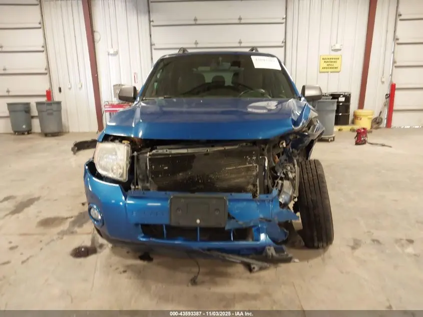 2011 FORD ESCAPE XLT