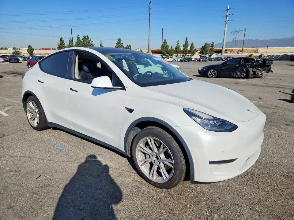 2021 TESLA MODEL Y   