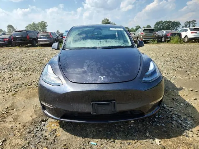 2025 TESLA MODEL Y   