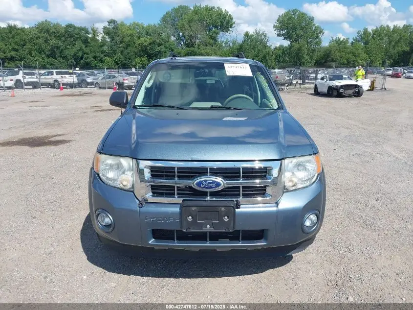 2010 FORD ESCAPE XLT