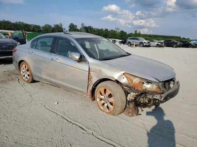 2010 HONDA ACCORD EXL  