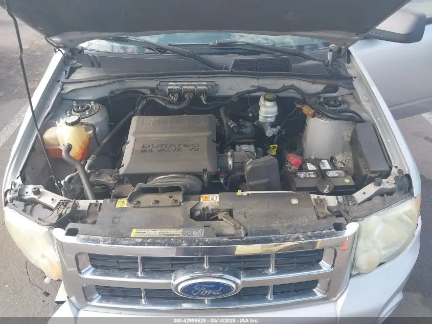 2010 FORD ESCAPE XLT