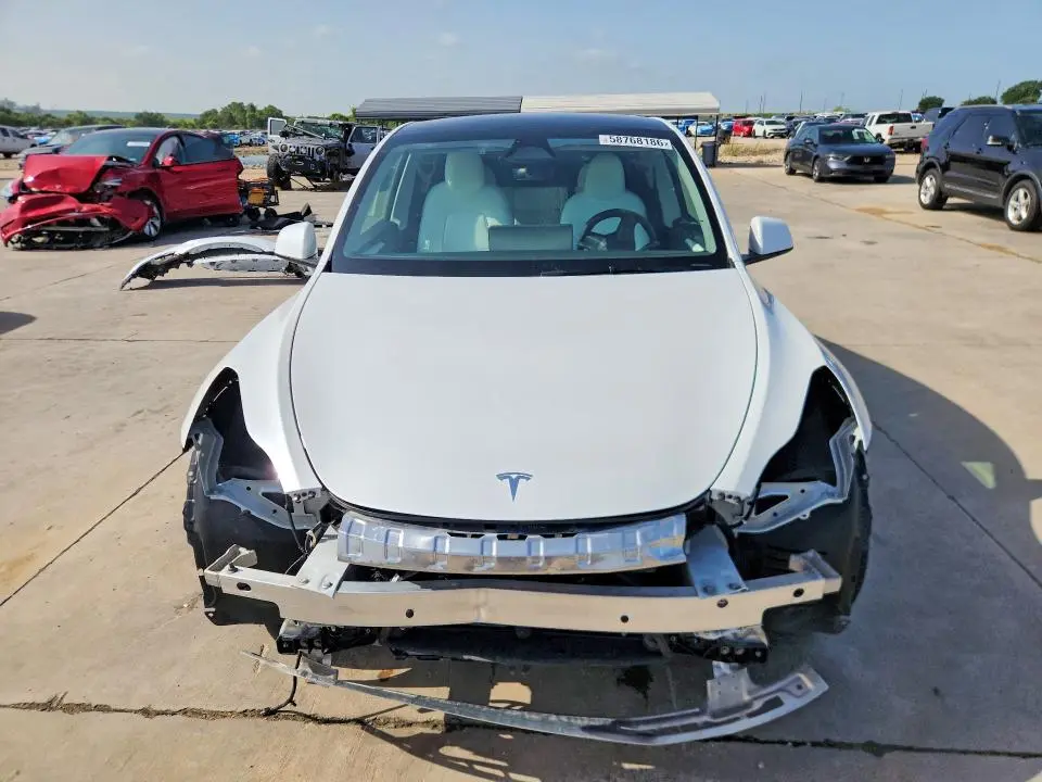 2025 TESLA MODEL Y   