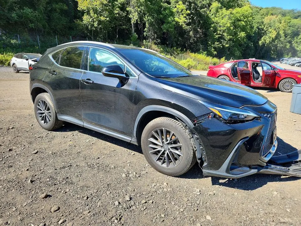 2024 LEXUS NX 350 PREMIUM  