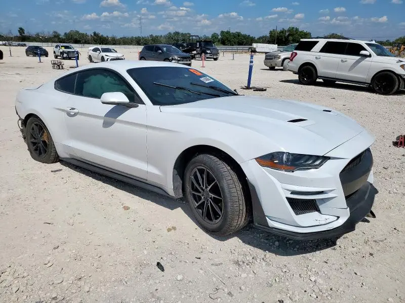 2019 FORD MUSTANG
