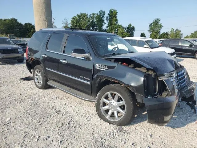 2010 CADILLAC ESCALADE   
