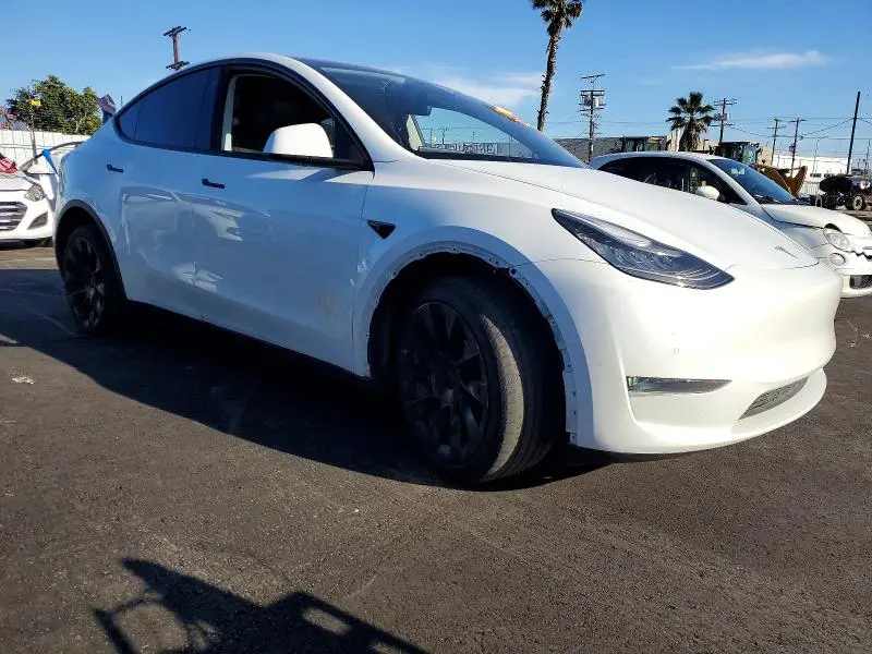 2020 TESLA MODEL Y   