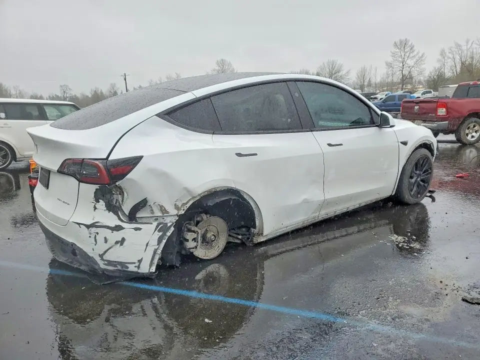 2024 TESLA MODEL Y   