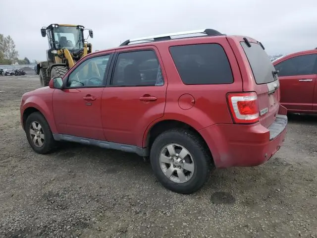 2010 FORD ESCAPE LIMITED  