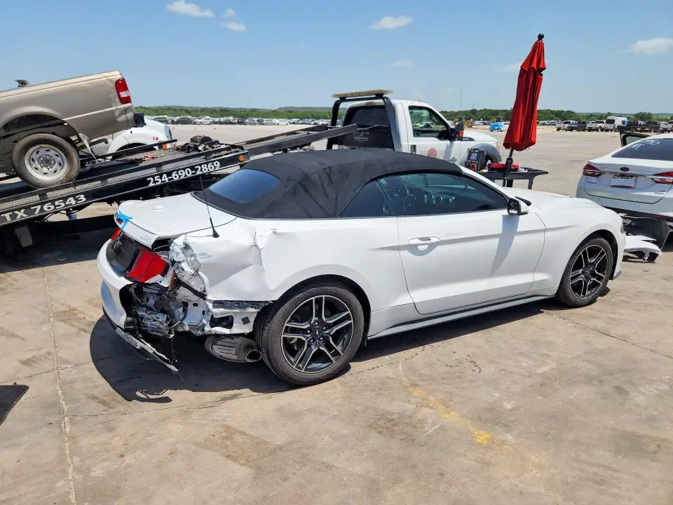 2019 FORD MUSTANG   
