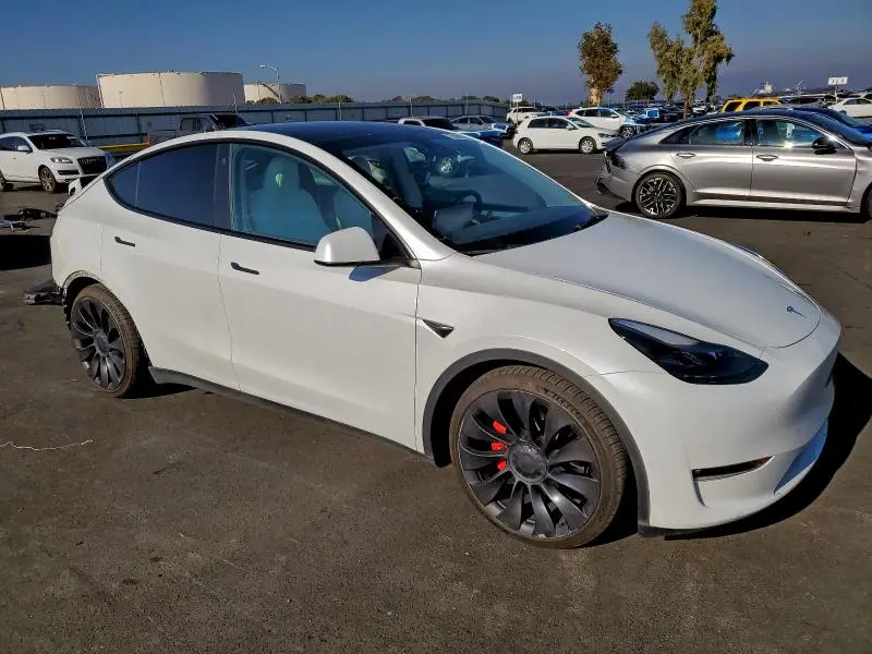 2023 TESLA MODEL Y   