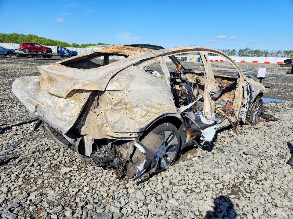 2020 TESLA MODEL Y   