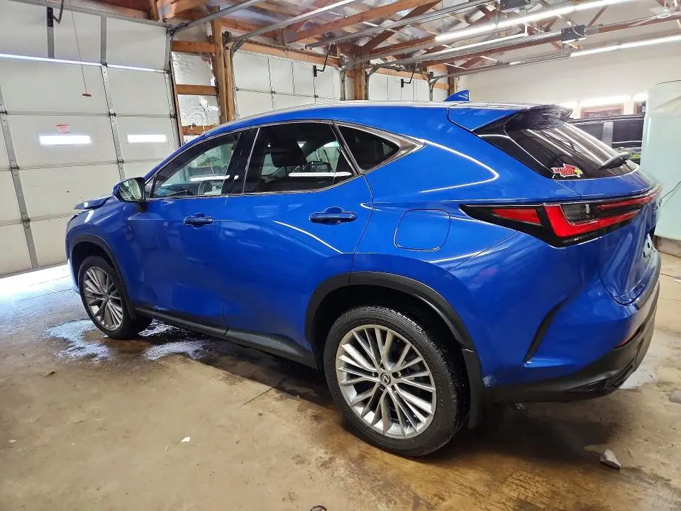2025 LEXUS NX 350H PREMIUM  
