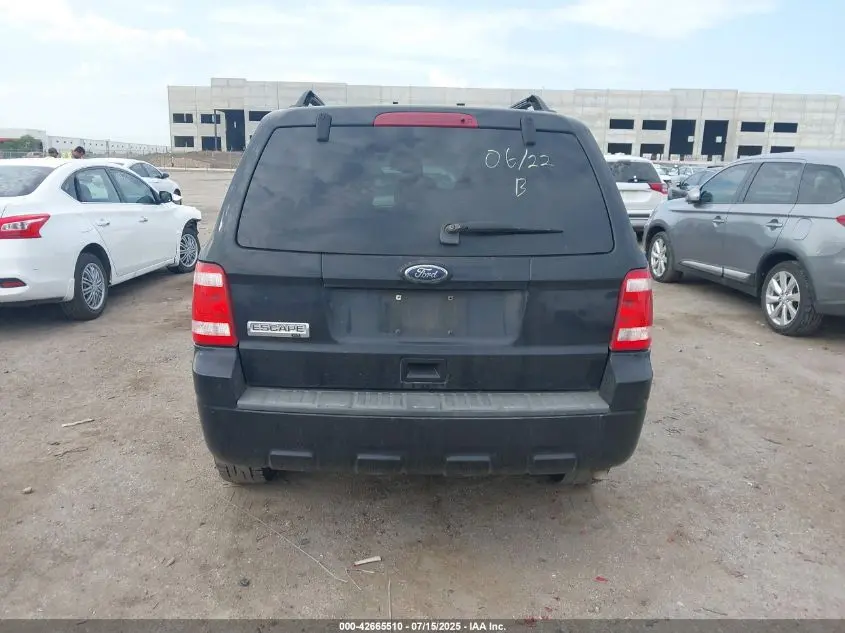 2010 FORD ESCAPE XLT