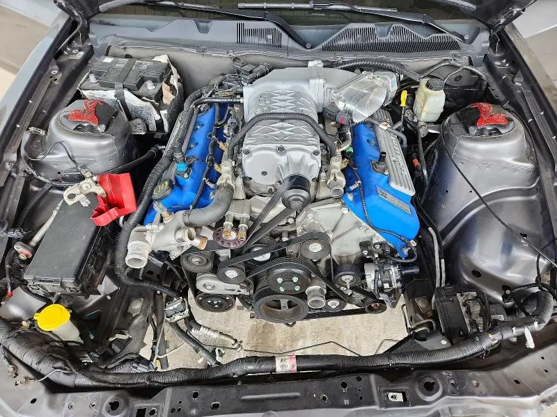 2014 FORD MUSTANG SHELBY GT500  