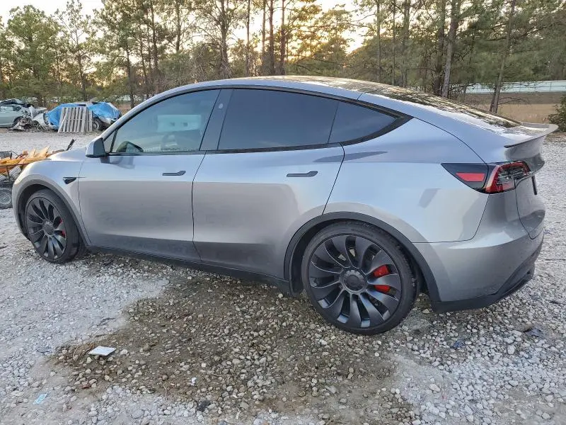 2024 TESLA MODEL Y   