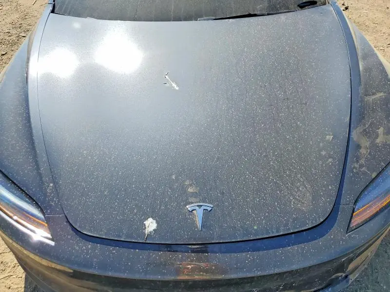 2025 TESLA MODEL 3   