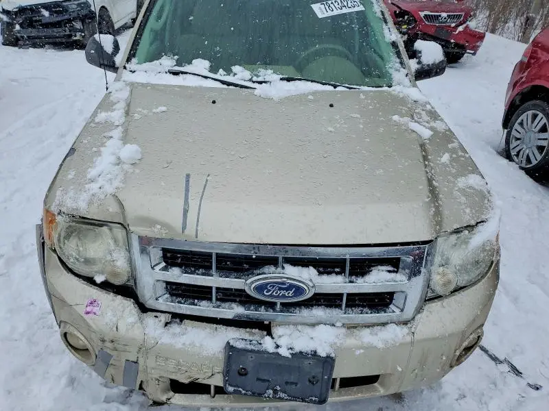 2011 FORD ESCAPE XLT  