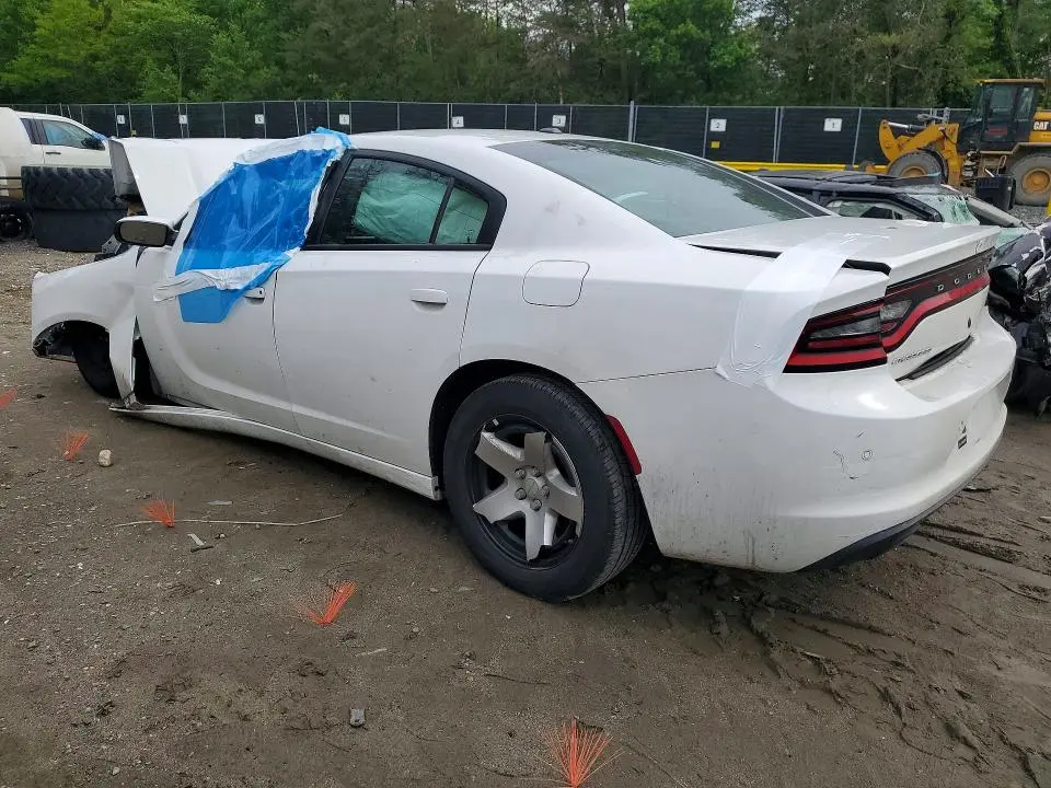 2019 DODGE CHARGER POLICE  