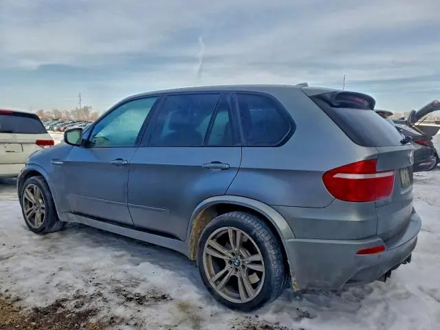 2010 BMW X5 M  