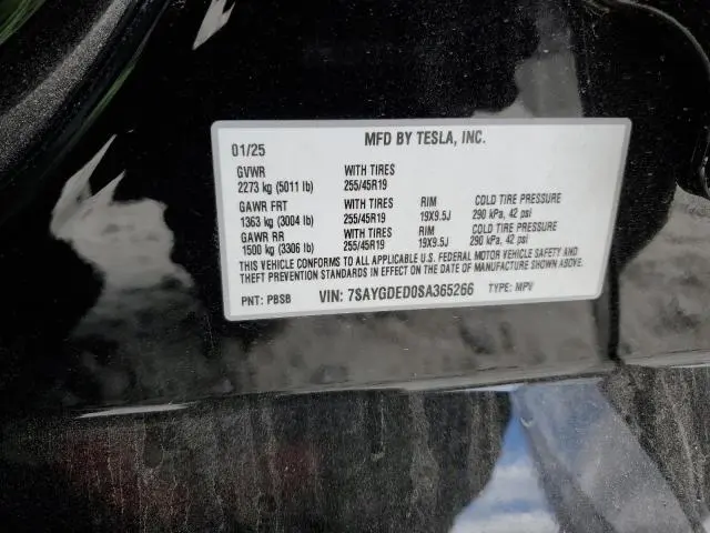 2025 TESLA MODEL Y   