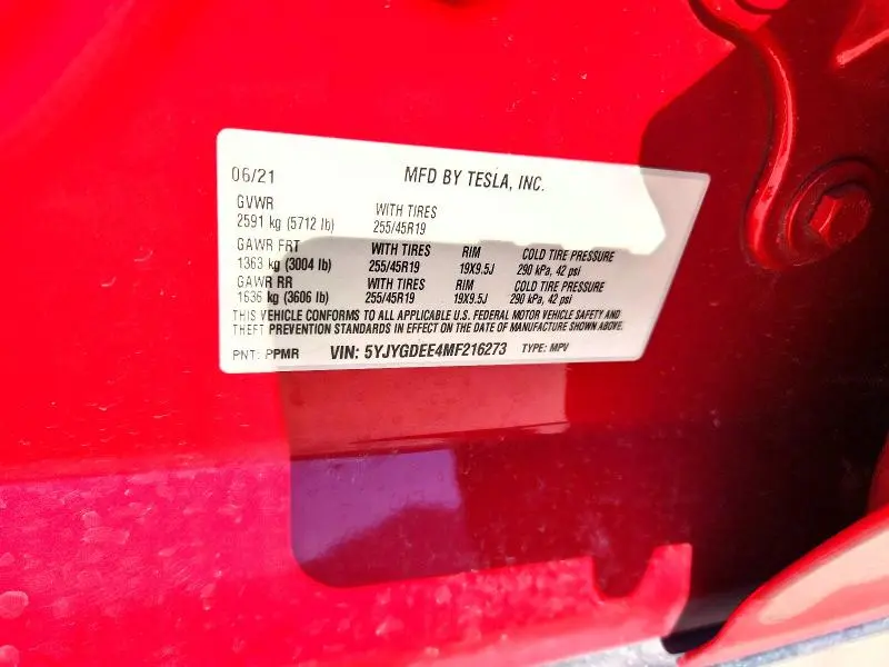 2021 TESLA MODEL Y   